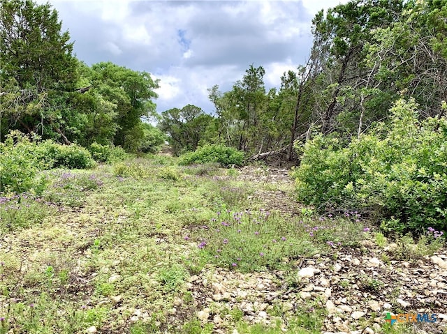 LOT7 Sawtooth Dr, Bertram, TX 78605 - photo 6