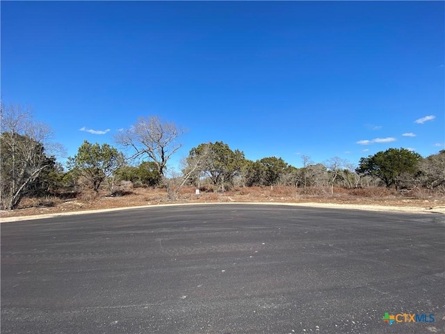 LOT7 Sawtooth Dr, Bertram, TX 78605 - photo 2
