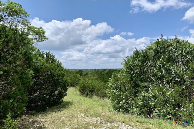 LOT7 Sawtooth Dr, Bertram, TX 78605 - photo 8