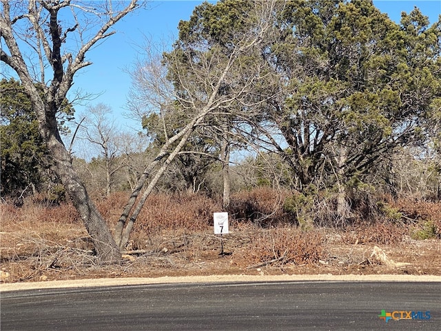 LOT7 Sawtooth Dr, Bertram, TX 78605 - photo 1