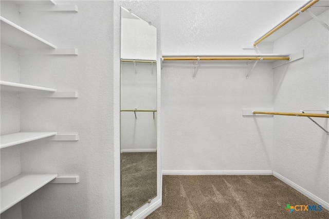 816 Woodhollow Dr, Temple, TX 76502 - spacious closet with carpet floors