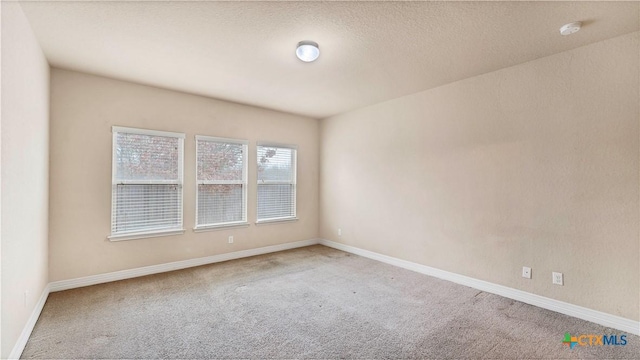 empty room featuring carpet