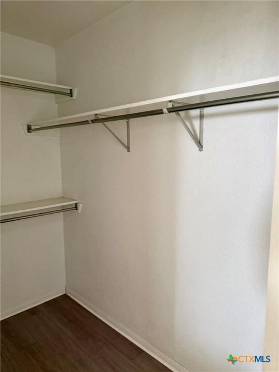 spacious closet featuring dark wood finished floors