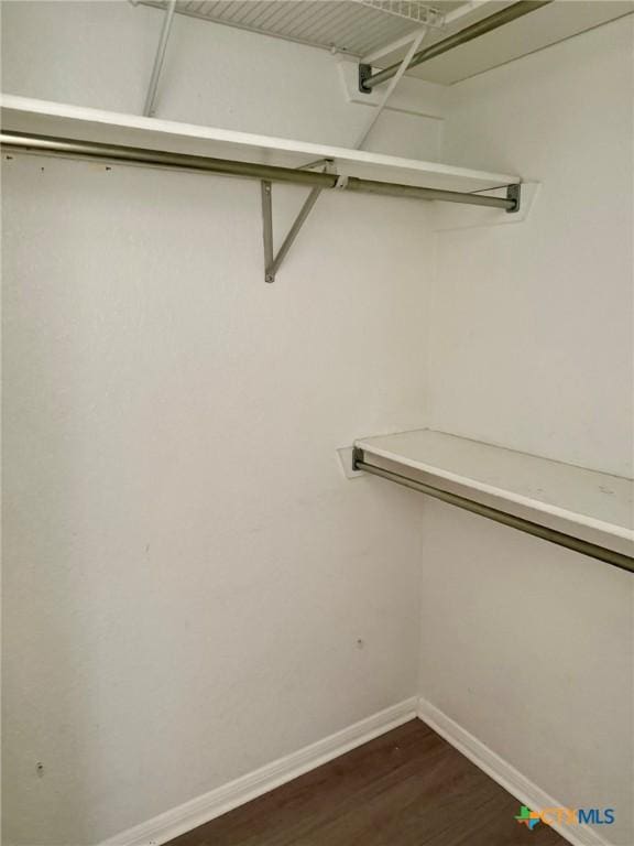 spacious closet with dark wood-type flooring