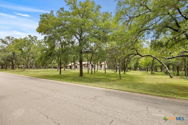 16209 Oxbow Trl, Buda, TX 78610 - photo 2
