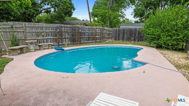 view of pool with a fenced backyard, a fenced in pool, and a patio