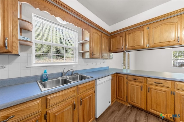 kitchen with dark hardwood / wood-style floors, sink, white dishwasher, and plenty of natural light