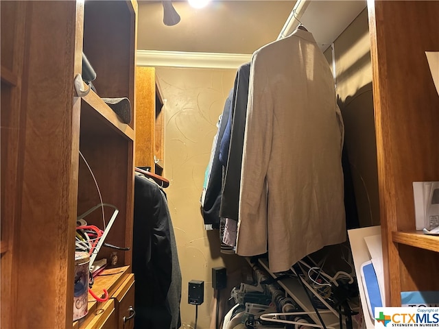 view of spacious closet