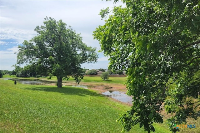 113 Altamont St, Hutto, TX 78634 - view of home's community with a water view and a lawn