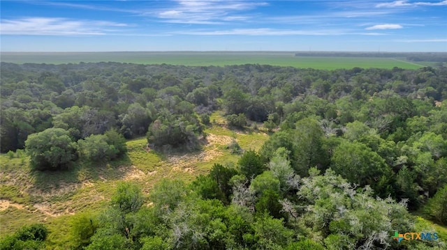 000 Fm 822, Edna, TX 77957 - photo 9