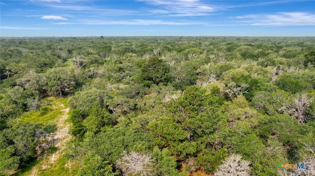 000 Fm 822, Edna, TX 77957 - photo 5