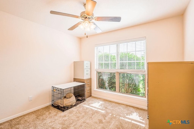 5821 Worthing Dr, Temple, TX 76502 - unfurnished bedroom with carpet and ceiling fan