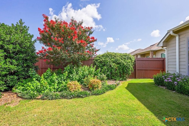 5821 Worthing Dr, Temple, TX 76502 - view of yard