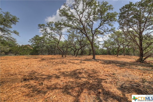 Listing photo 2 for 1154 Madrone Rd, Fischer TX 78623