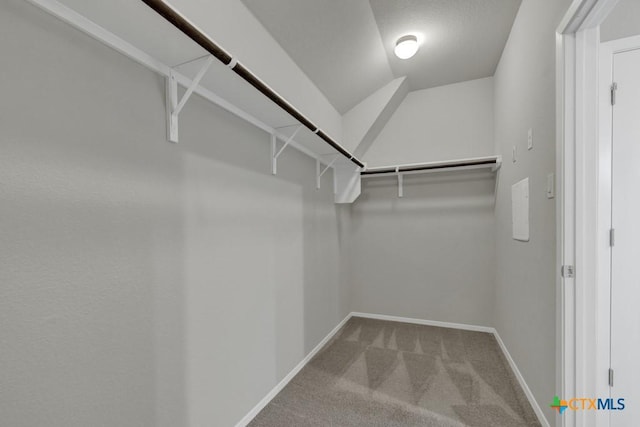 spacious closet featuring carpet floors