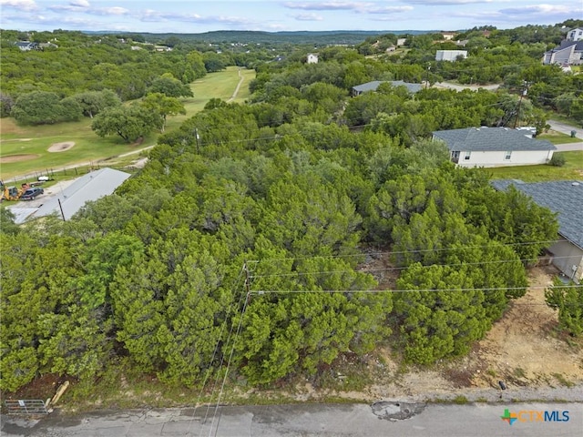4602 Thunderbird, Lago Vista, TX 78645