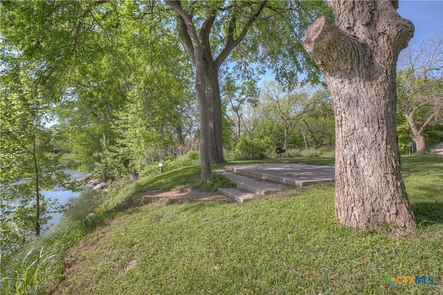 Listing photo 3 for 0 Ervendberg Ave, New Braunfels TX 78130