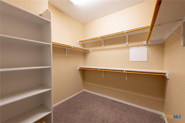 9505 Alex Ln, Austin, TX 78748 - walk in closet featuring carpet floors