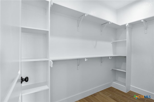 spacious closet featuring dark wood-type flooring