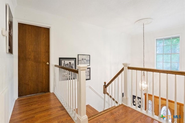 102 Elm Dr, Belton, TX 76513 - hall with an upstairs landing and wood finished floors