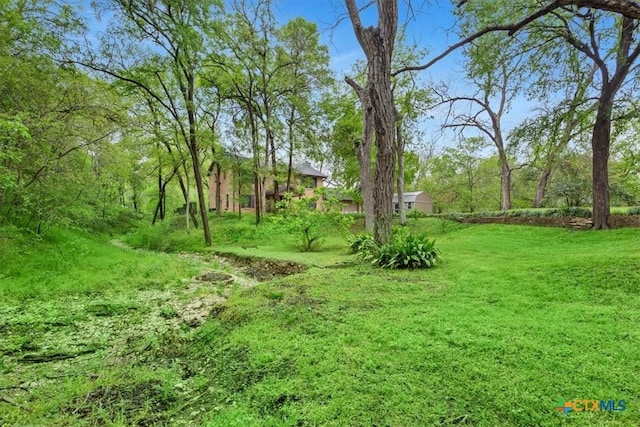 102 Elm Dr, Belton, TX 76513 - view of yard