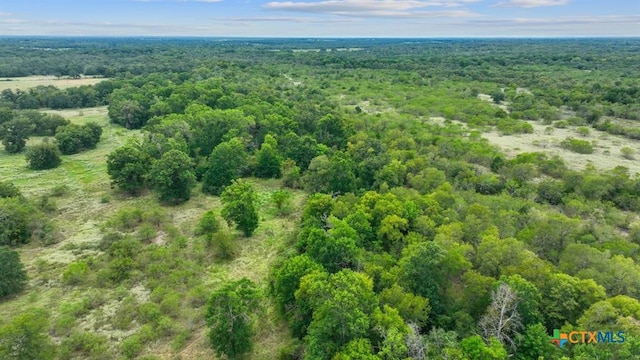 689 Chamberlin Rd, Dale TX, 78616 land for sale