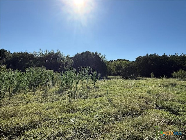 58 Longview Dr, Lampasas, TX 76550 - photo 11