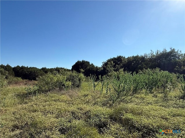 58 Longview Dr, Lampasas, TX 76550 - photo 12