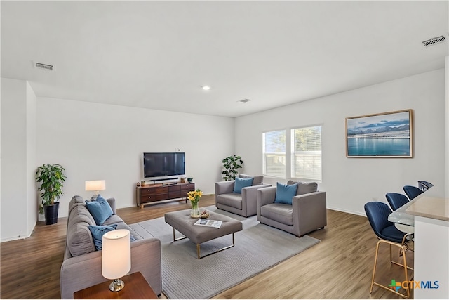 living room with wood-type flooring