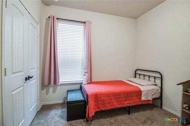 bedroom featuring carpet