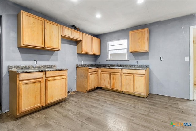 kitchen with wood-type flooring and sink