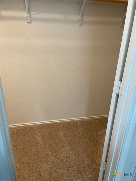 2411 Pintail Loop, Copperas Cove, TX 76522 - walk in closet with carpet floors