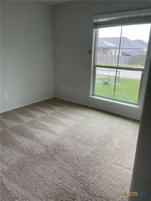 2411 Pintail Loop, Copperas Cove, TX 76522 - unfurnished room with carpet floors and plenty of natural light