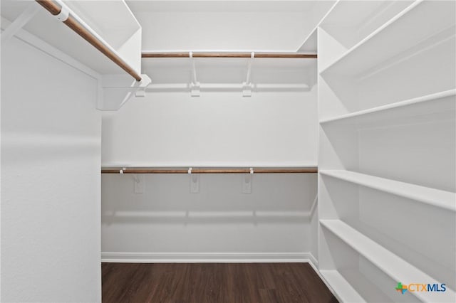 619 Killam Dr, Temple, TX 76502 - walk in closet featuring dark wood-style floors