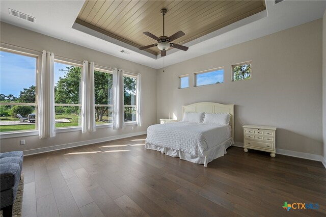 916 Dream Catcher Dr, Leander, TX 78641 - bedroom featuring a raised ceiling, wood ceiling, baseboards, and dark wood-type flooring