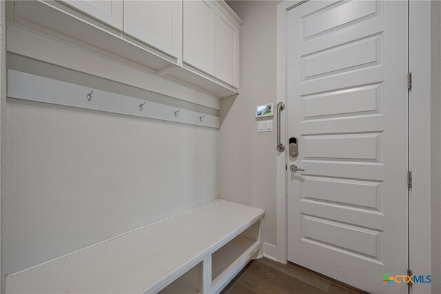 916 Dream Catcher Dr, Leander, TX 78641 - mudroom with dark wood-style floors
