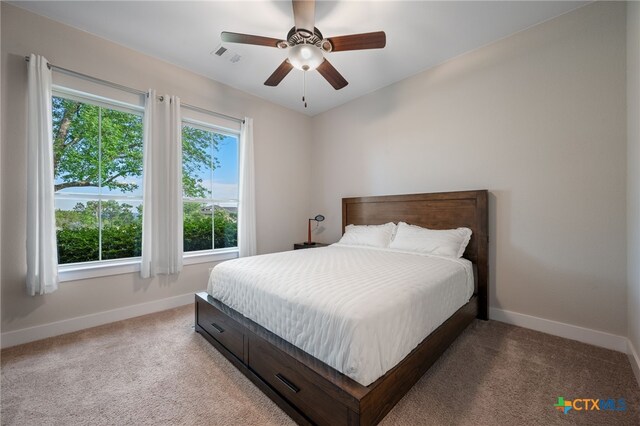 916 Dream Catcher Dr, Leander, TX 78641 - bedroom featuring baseboards, light colored carpet, and ceiling fan
