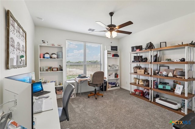 430 Solo Ridge Dr, Waxahachie, TX 75167 - photo 28
