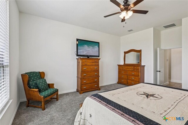 430 Solo Ridge Dr, Waxahachie, TX 75167 - photo 35
