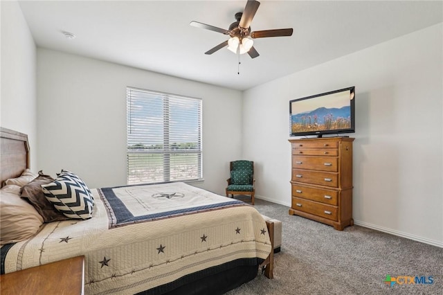 430 Solo Ridge Dr, Waxahachie, TX 75167 - photo 34
