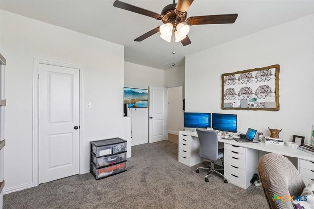 430 Solo Ridge Dr, Waxahachie, TX 75167 - photo 29