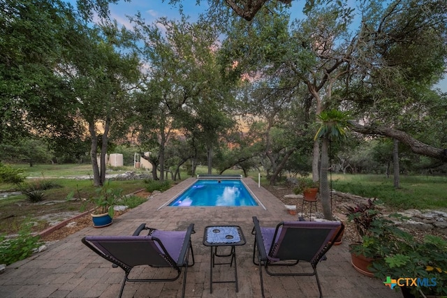 view of swimming pool featuring a patio area