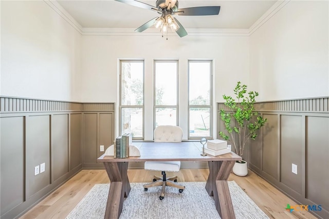 1586 Bosque Lago Dr, Belton, TX 76513 - office featuring a decorative wall, a ceiling fan, light wood-style floors, crown molding, and a wainscoted wall