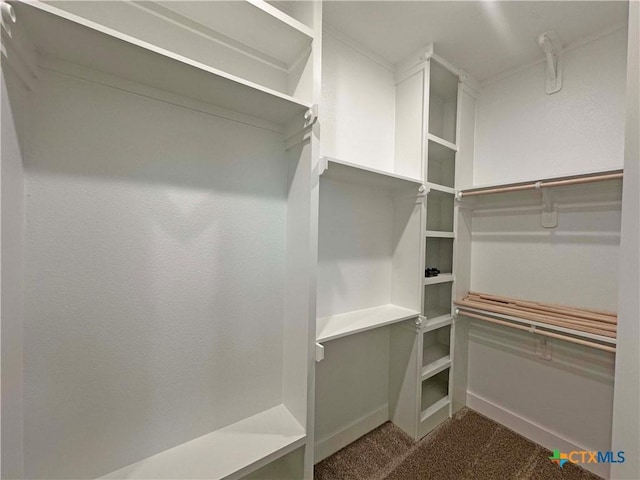 spacious closet with carpet