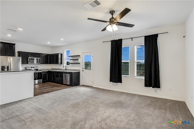 225 Rainey Dr Unit 73A, Jarrell, TX 76537 - kitchen with appliances with stainless steel finishes, dark cabinets, healthy amount of natural light, a ceiling fan, and recessed lighting