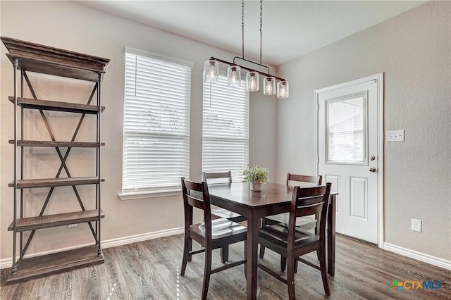 dining room featuring a wealth of natural light, baseboards, and wood finished floors