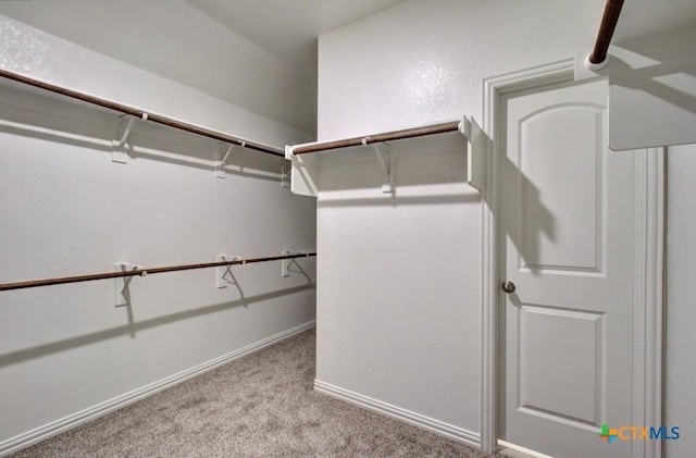 spacious closet with light colored carpet