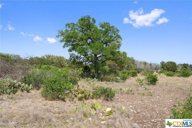 332 One River Pt, Johnson City, TX 78636