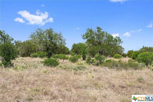 332 One River Pt, Johnson City, TX 78636