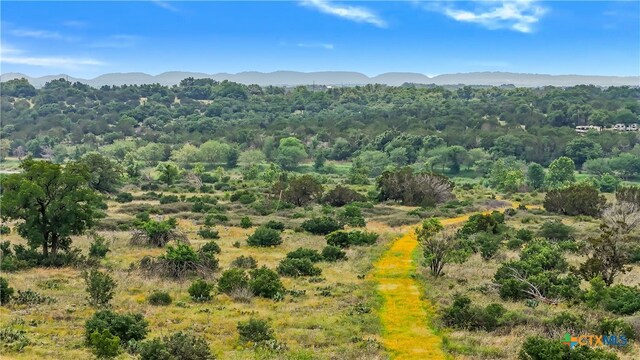 332 One River Pt, Johnson City, TX 78636